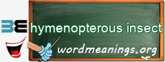 WordMeaning blackboard for hymenopterous insect